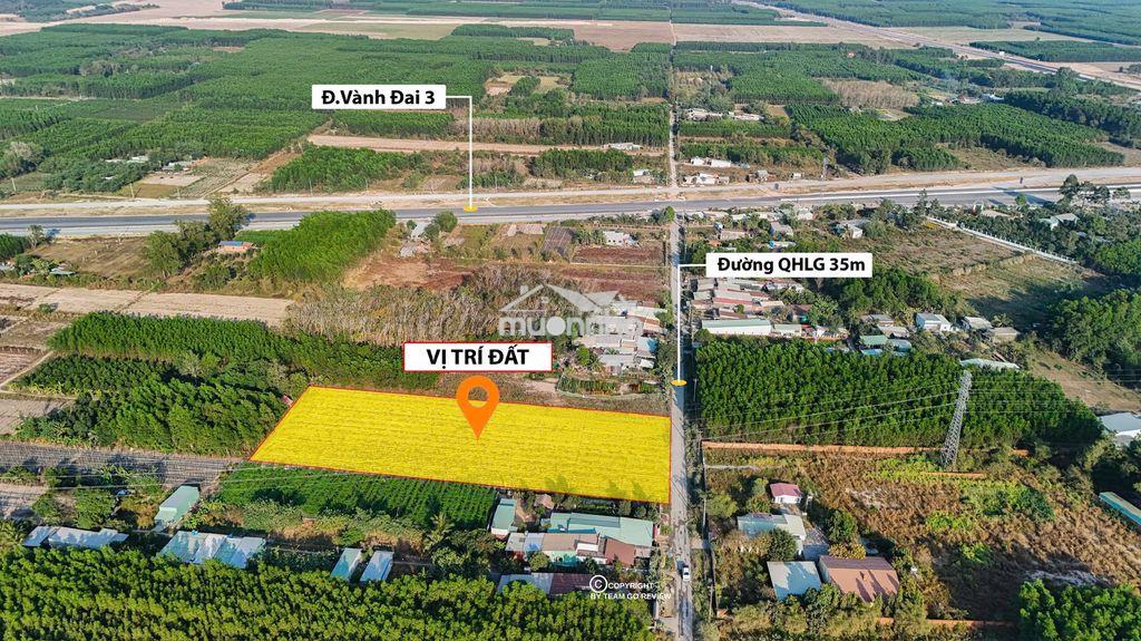 🔥 Bán 6.000m² đất cây lâu năm phú thạnh - nhơn trạch 🔥 - 2
