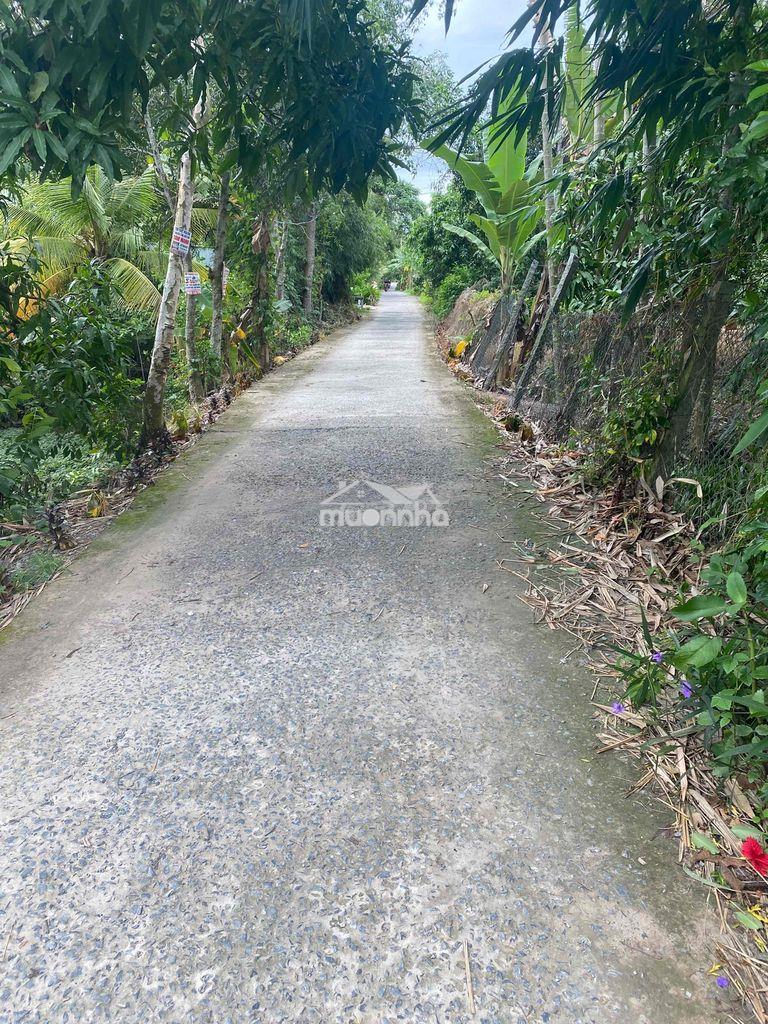 Bán vườn xoài đường xe tải cách ql30 700m - 3