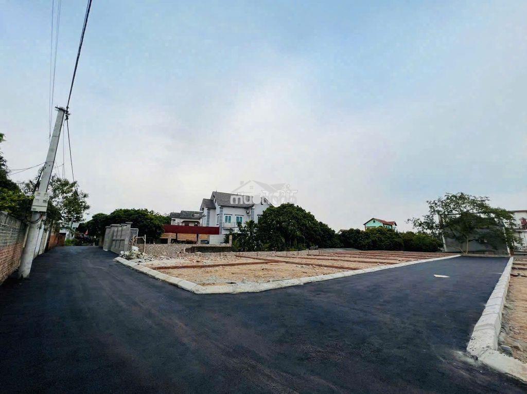 Cần bán gấp mảnh đất siêu full thổ cư - 3