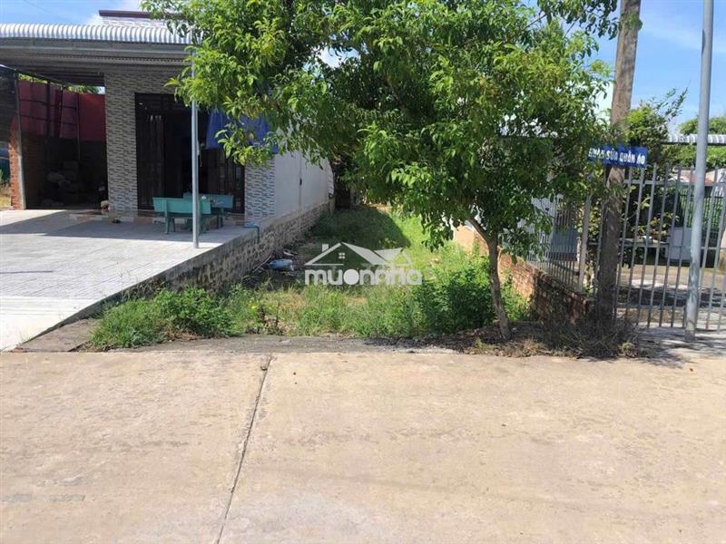 Bán gấp lô đất thổ cư phú điền,sổ hồng riêng, giá chỉ 500 triệu