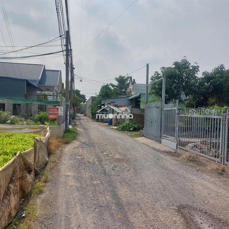 Cho thuê nhà giang điền