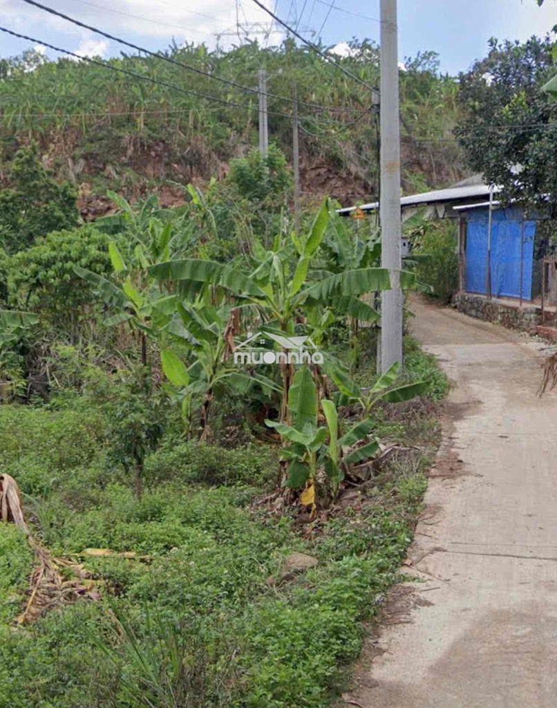Bán đất 436m2 - quy hoạch thổ cư - giá 950tr - tại quang trung - 2