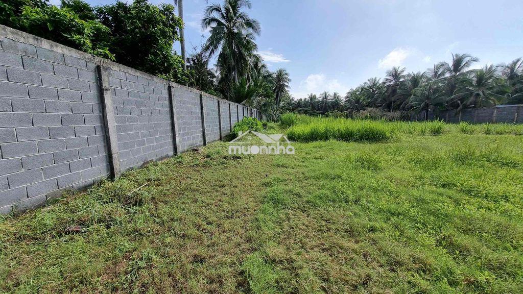 Đất xây biệt thự gần chợ cầu xây - 2