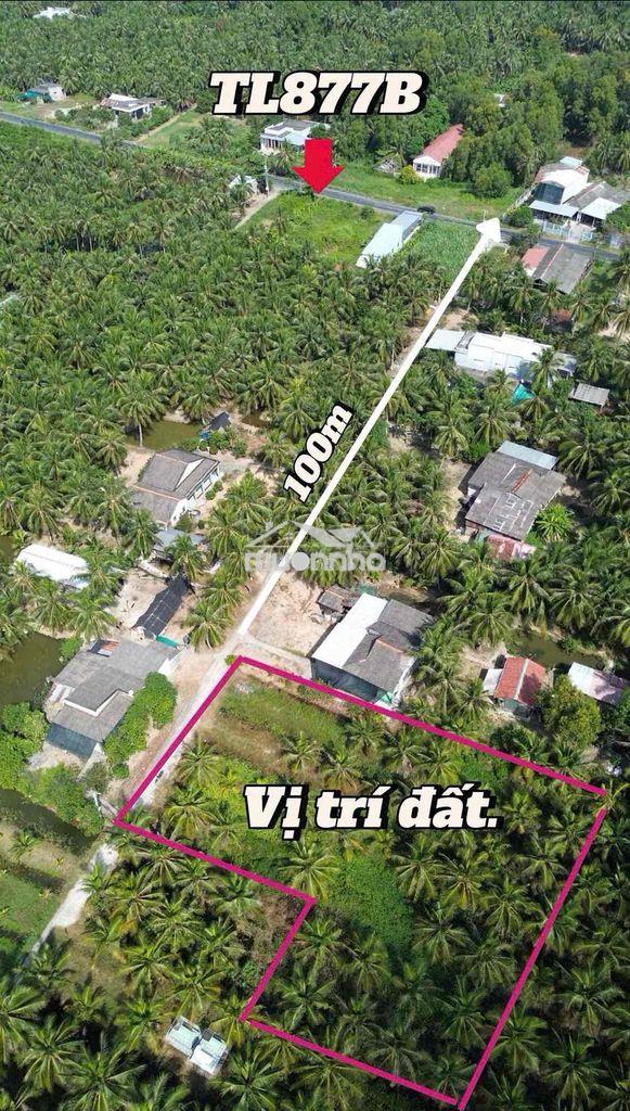 360tr/ công đất vườn dừa đẹp chuyển thổ cư được