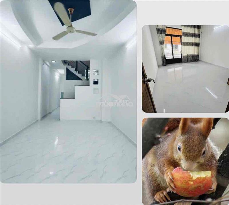 Nhà mới, 1 trệt 2 lầu sân thượng, 3p. ngủ ở và làm việc ok