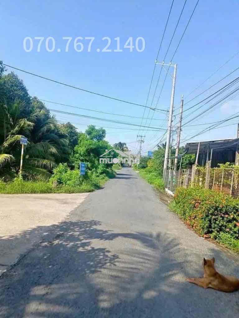 Chủ kẹt tiền cần bán gấp nhà vườn - 2