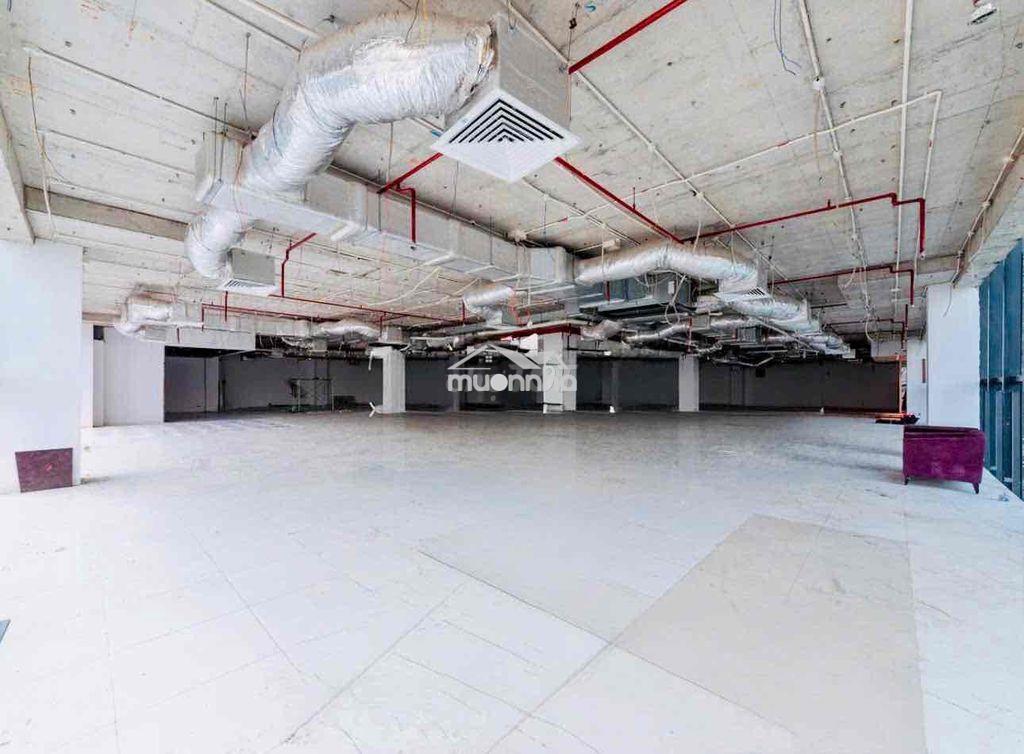 Toà building mặt tiền 16m trung tâm quận 7 mới hoàn công - 3