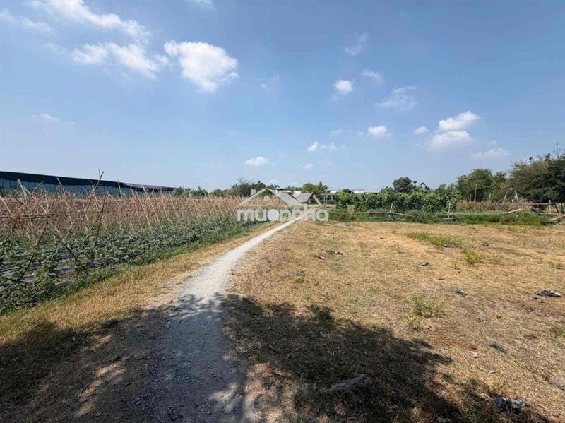 Đất 5 sổ riêng , bán 9tr/m bà điểm dân cư . gần tân thới nhất q12