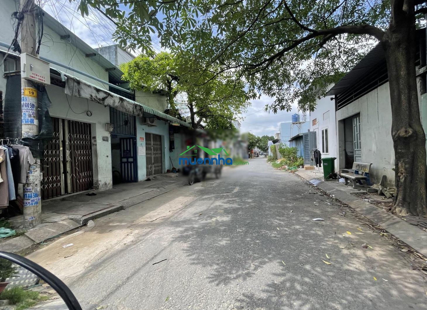 Bán dãy trọ gần ngã 3 đông quang, dt 196m² (7,75m x 25m) - thu nhập 20tr/tháng