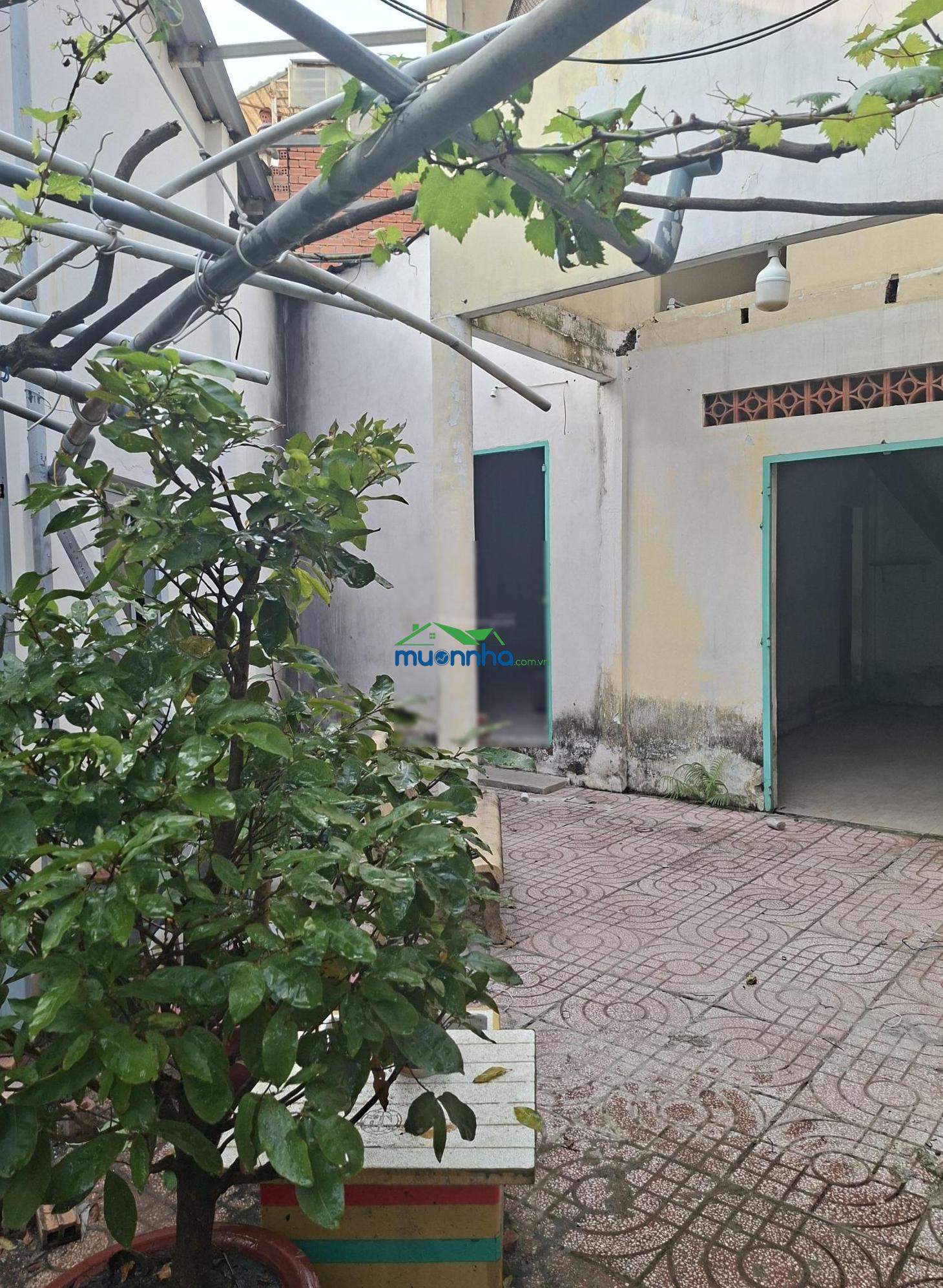 Bán nhà cấp 4 cũ hẻm 22 đường số 10, trường thọ, thủ đức 161m2 giá 4.2 tỷ - 4