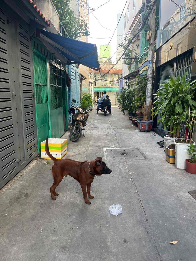 Cần cho thuê nhà p14 q6 - 2