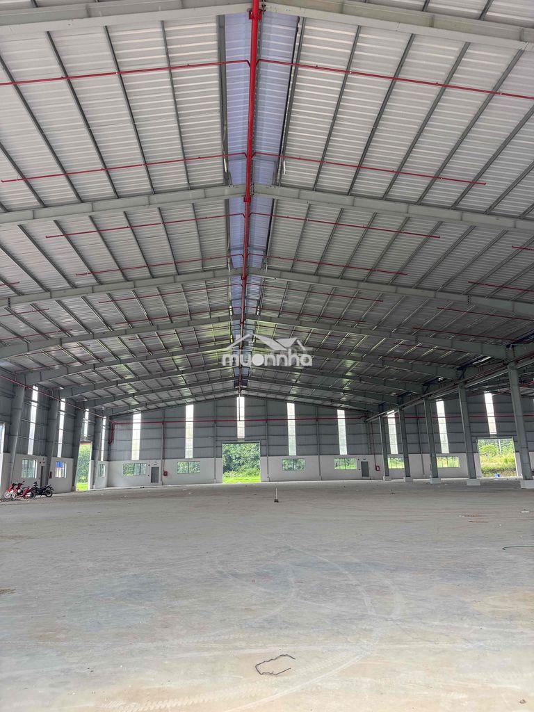 Cho thuê 2000-3000-5000m nhà xưởng phước hoà - phú giáo - 2