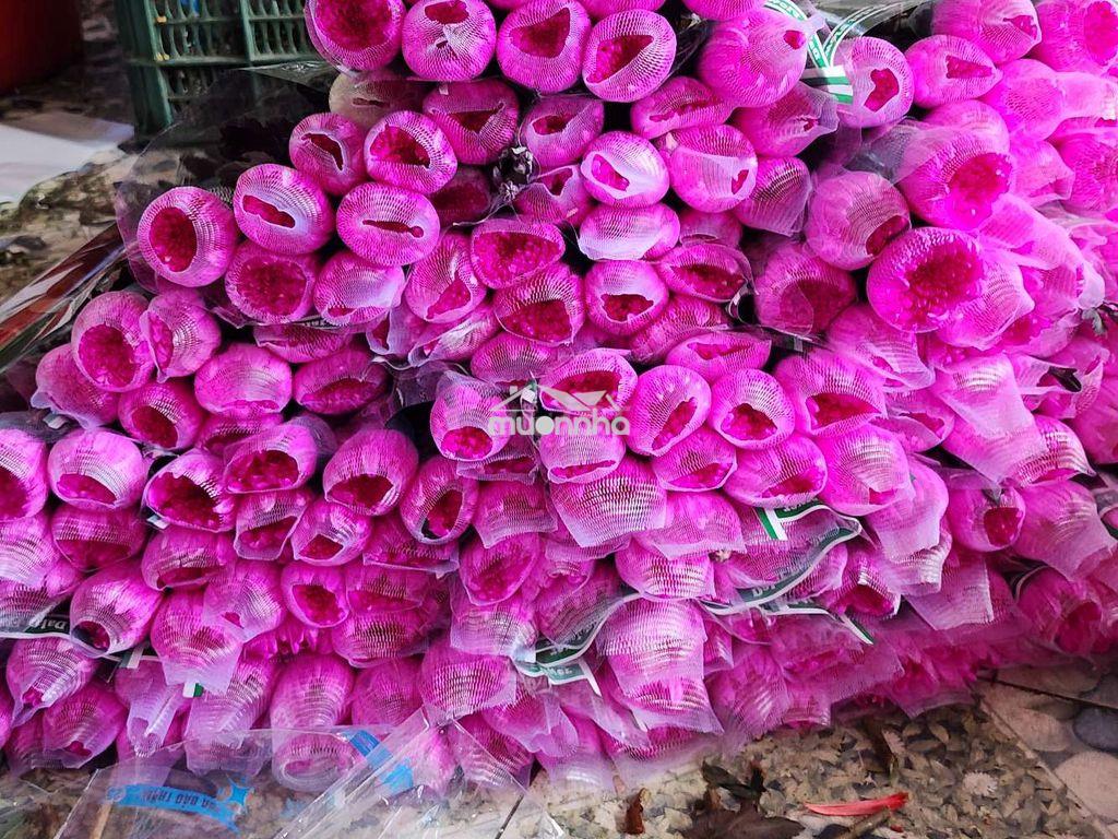 32m mặt tiền - 2
