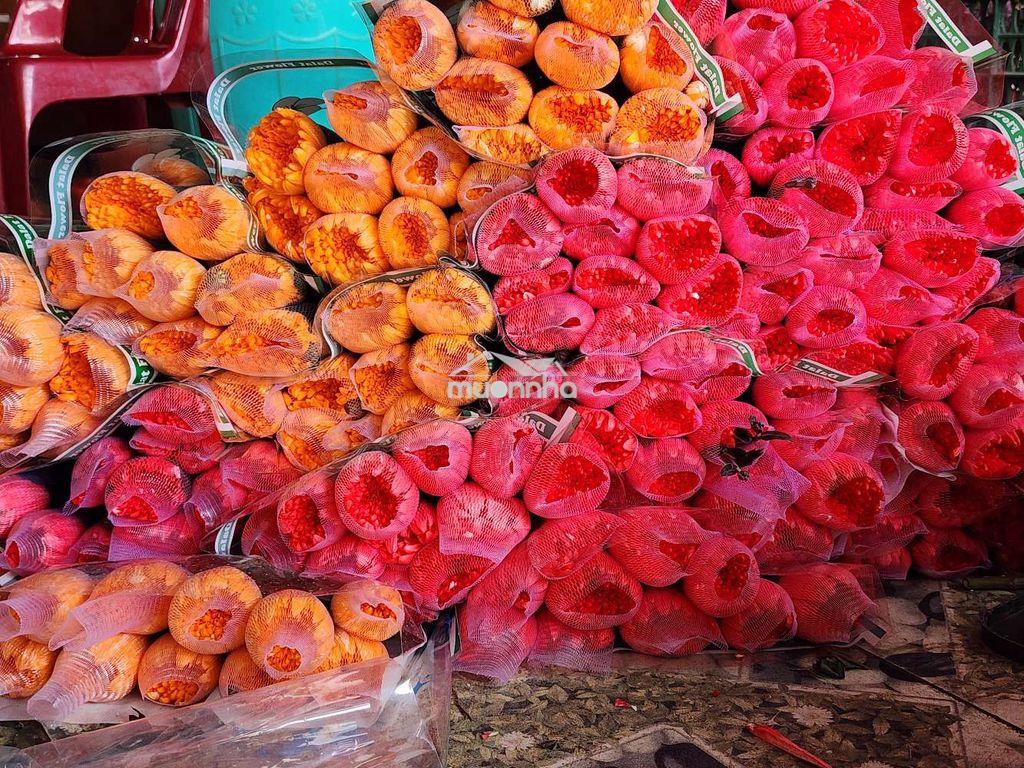 32m mặt tiền - 3