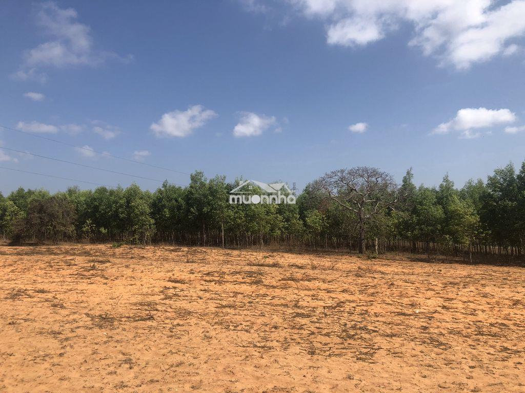 Đất xã hòa thắng, phan thiet, bình thuận, vietnam - 3