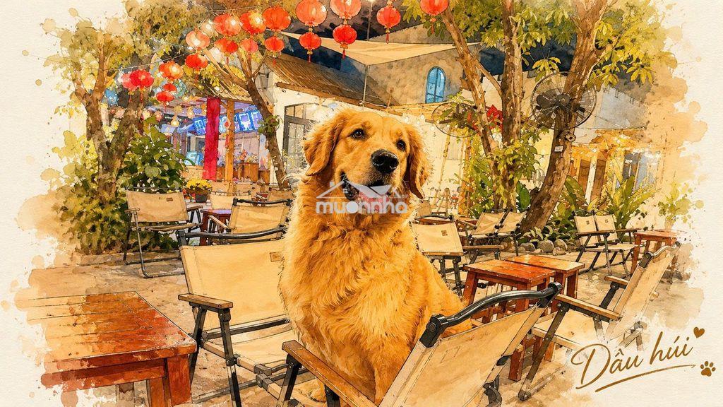 Gồng hết nổi bán đất - 2