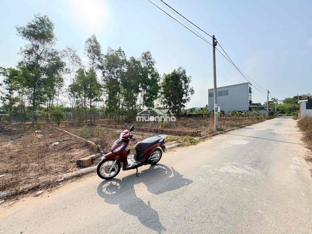Ấp 3 an viễn, ngay trung tâm hành chánh xã; 106m2 thổ cư 80m - 3