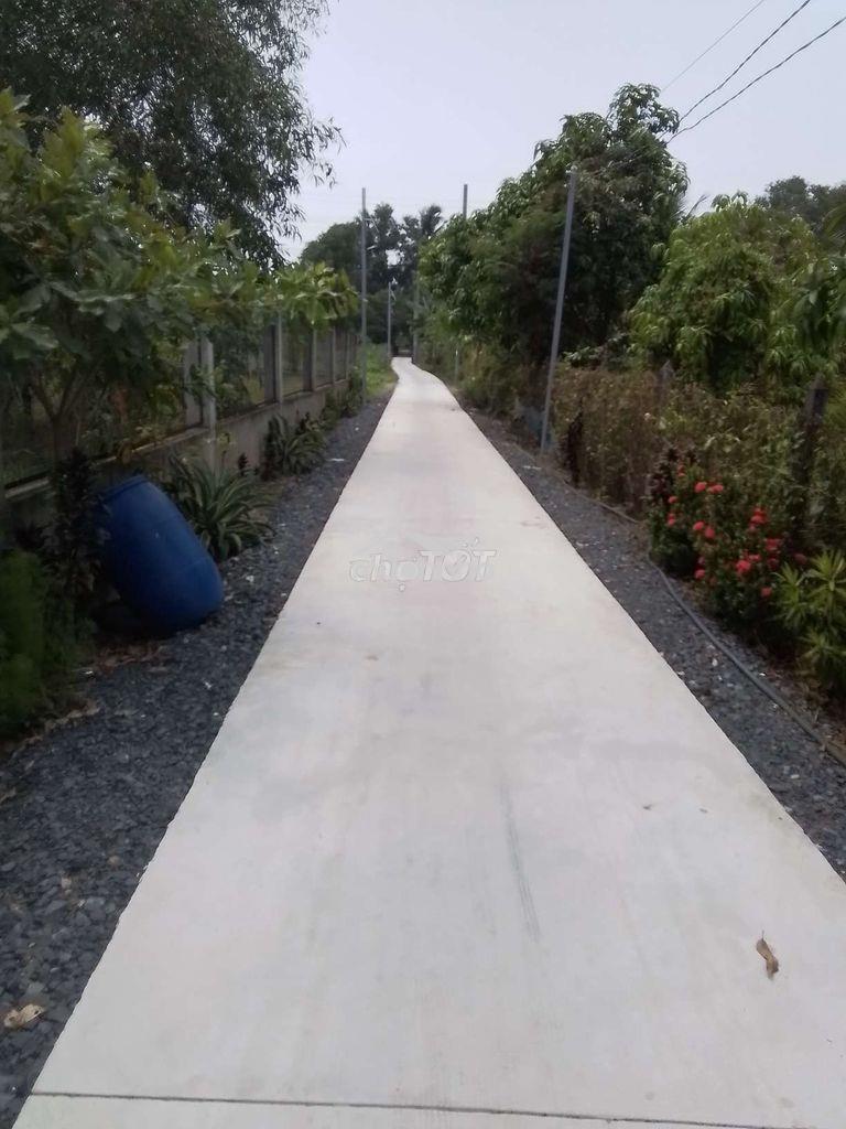 Tôi cần bán miếng đất vưởn ở cầu trắng, xã trung an - 3