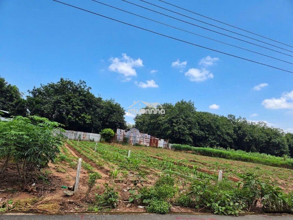 250m2 + 100m2 tc nhựa 7m 550tr ngay ubnd xã an linh - 2