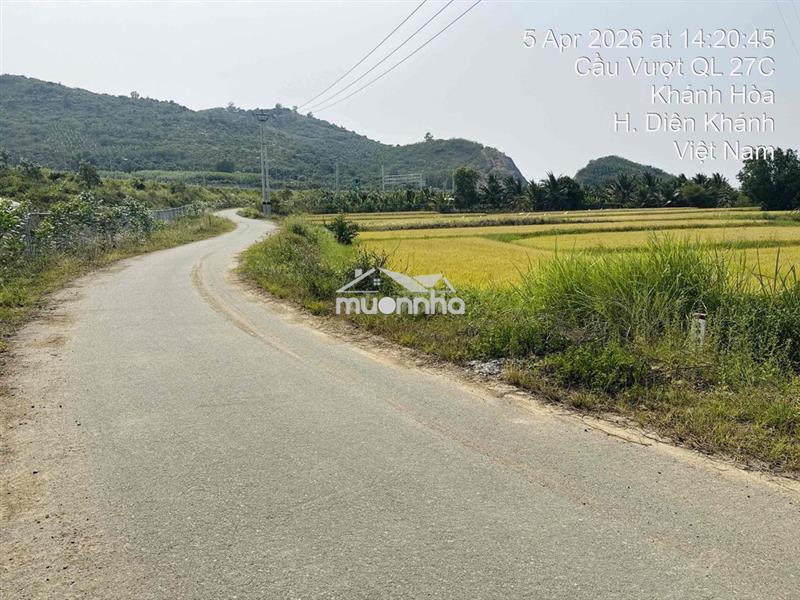 1 tỷ 680 triệu cần ra đi 209m2 đất lúa mặt tiền đường nhựa sát ql27c