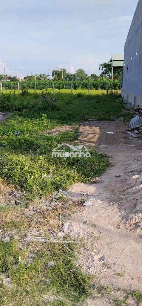 10x35m đất full thổ cư giá rẻ - 2