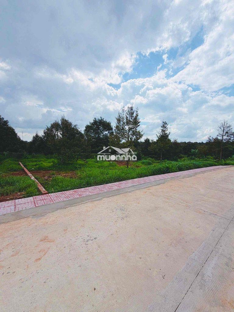 Bán đất mặt tiền 60m , phường long khánh - tp đồng nai - 2