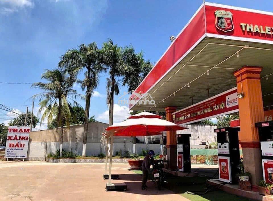 Bán gấp lh sđt mô tả bớt - 2
