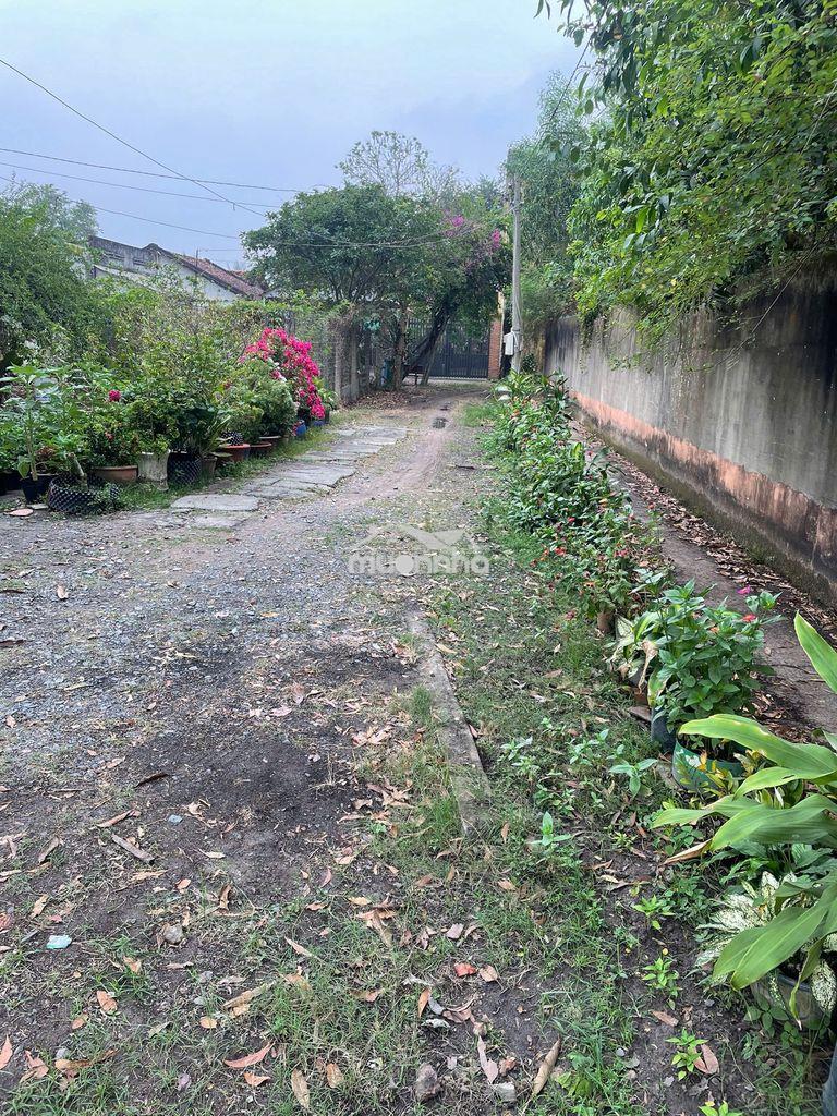 Đất rộng, 6x30=186m2 tân an hội, kcn tây bắc, sổ riêng, 760tr - 4