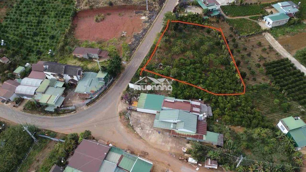 Bán đất mặt tiền tp bảo lộc - 2
