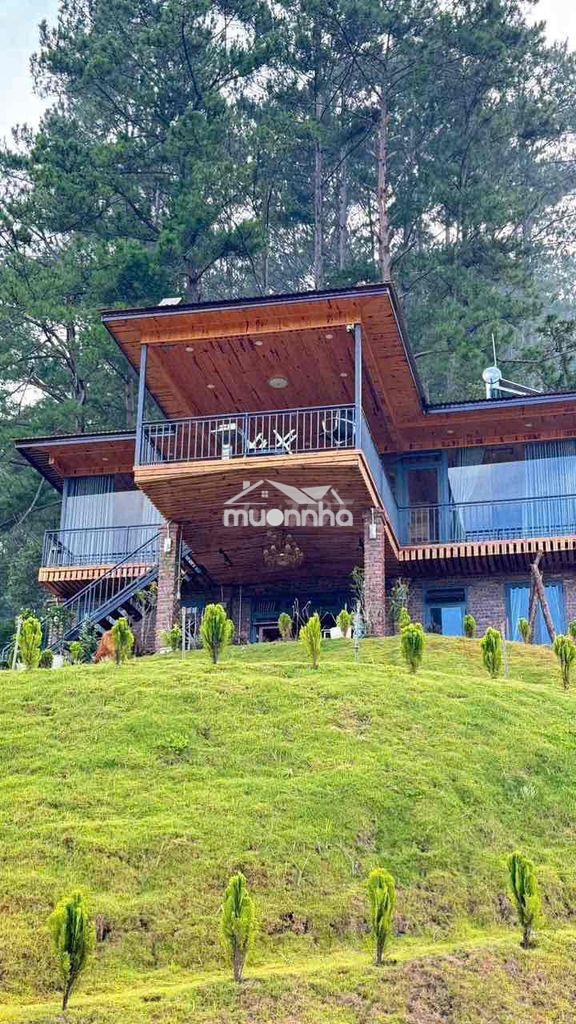 Cho thuê villa gỗ view 360 độ siêu đẹp -p3 dalat -diện tich : 1000m2