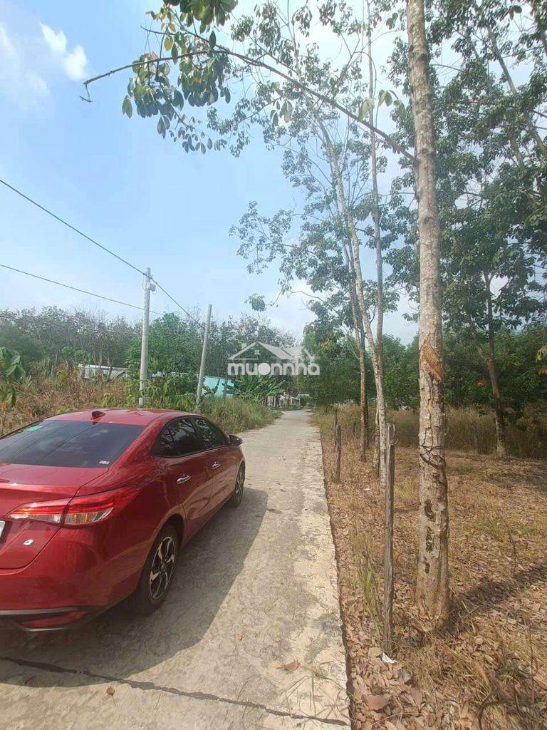 Bán lô đất hẻm xe hơi thị xã chơn thành , 5.06×38 , 190m2 . 598 triệu - 4