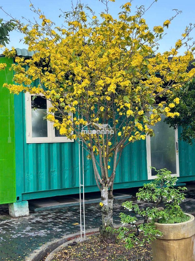Phòng trọ 100m gần nhi đồng bình chánh tân nhựt tphcm - 2