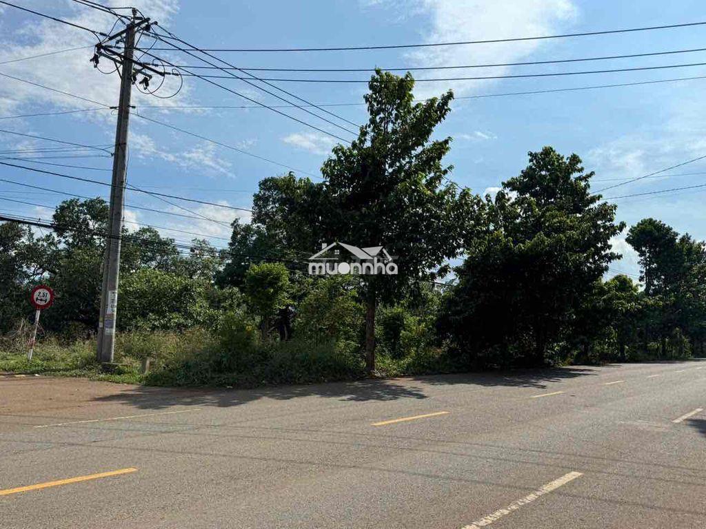 Cần bán 20.000m2 đất cln, 3 mặt tiền đường, huyện châu đức, bà rịa vt - 4