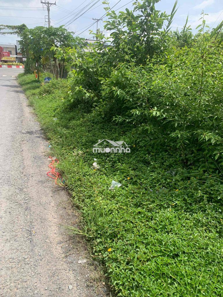 Bán nền cho người xây nhà sinh sống dưỡng già kinh doanh thuận lợi - 4