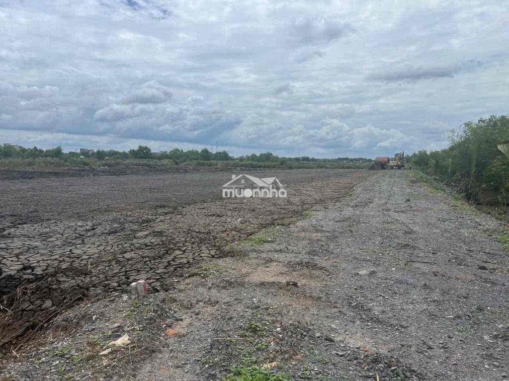 Đất mặt tiền 319 đào trí diện tích 19942,5m2 - 3