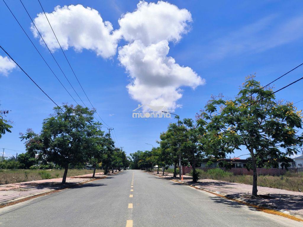 Bán đất nền b3.16 dự án chợ lai nghi 2 dt 150m2 đường 10m5 giá 1.85 tỷ - 3