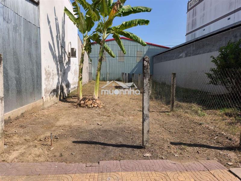 Trả trước 280 tr sang tên sở hữu lô đất 5 x 25 - trung tâm chợ gạo