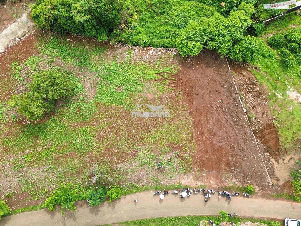 Bán 500m2 có thổ cư long khánh - tp. đồng nai - 3