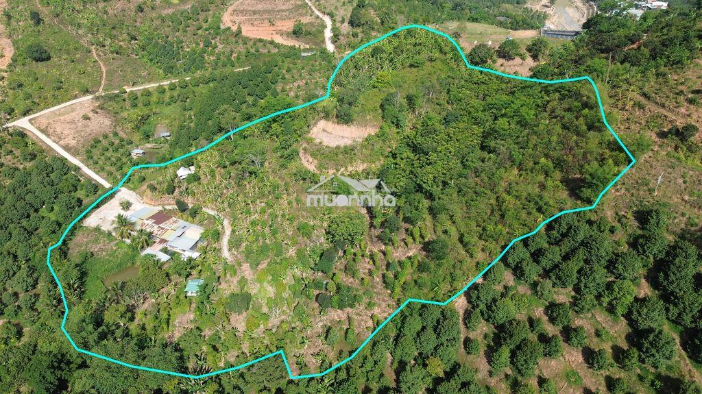 Bán đất nghỉ dưỡng view đẹp tại khánh hòa - hoa hồng cho môi giới: 2% - 3