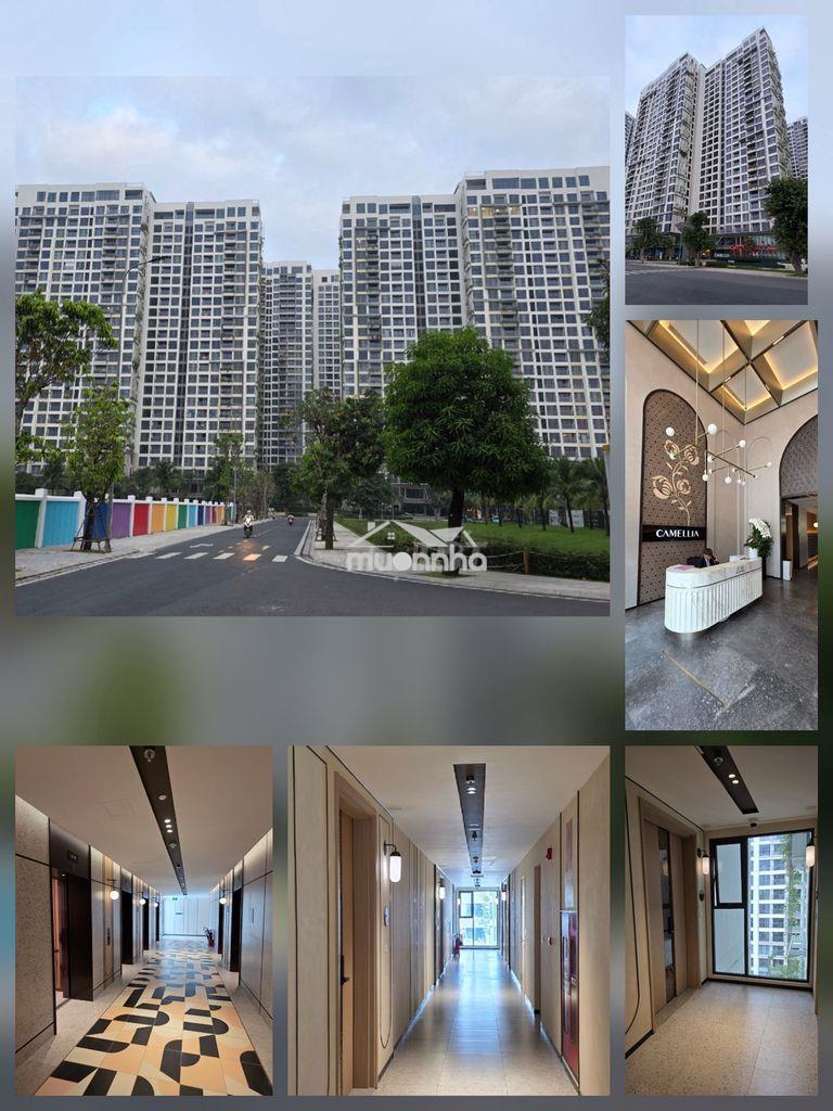Cho thuê căn hộ 2pn, 2wc mới cao cấp – lumière boulevard - 4