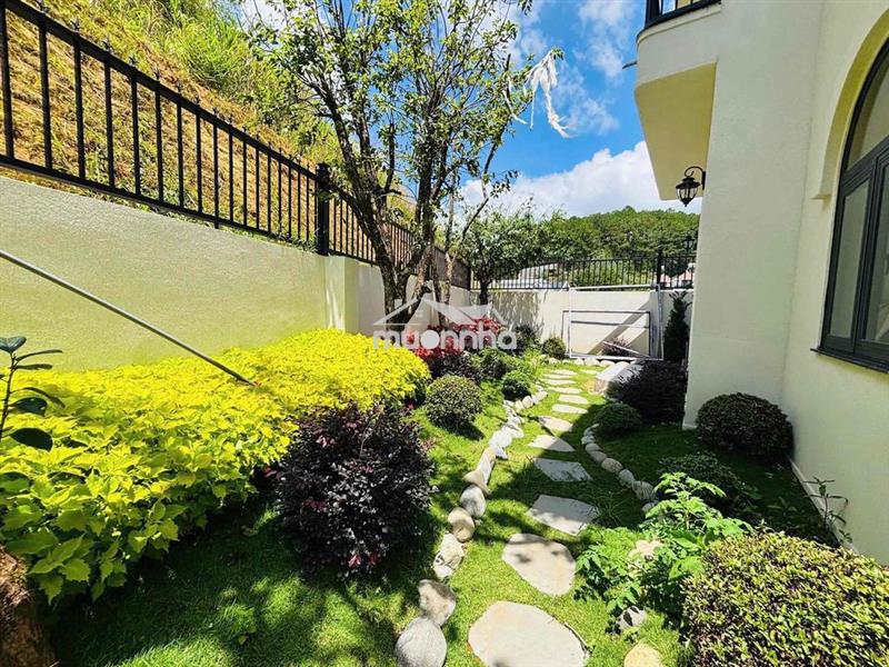 Tìm chủ nhân cho căn villa sân vườn đường an sơn phường 4