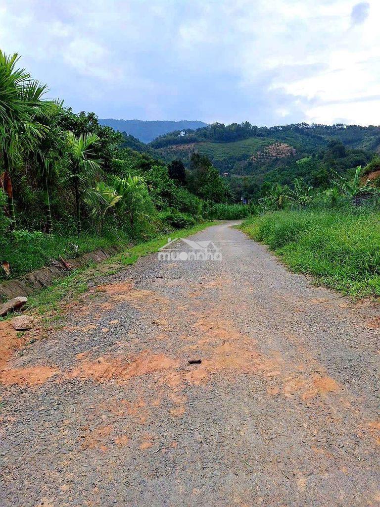 Đất mặt tiền đường nhựa, ô tô vào tận nơi, view đẹp, sổ hồng chính chủ - 2