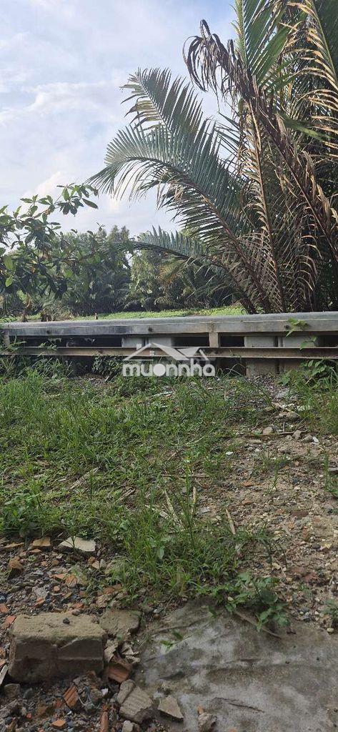 Cho thuê nhà nguyên căn 100m có gát còn mới hiệp bình thủ đức - 4