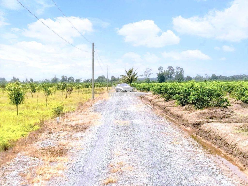 535m2 đất vườn 10x 53m đường ô tô cực đẹp, 400tr - 3