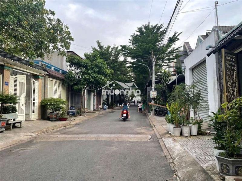 Cho thuê nhà gần chợ phú an (5*20) 