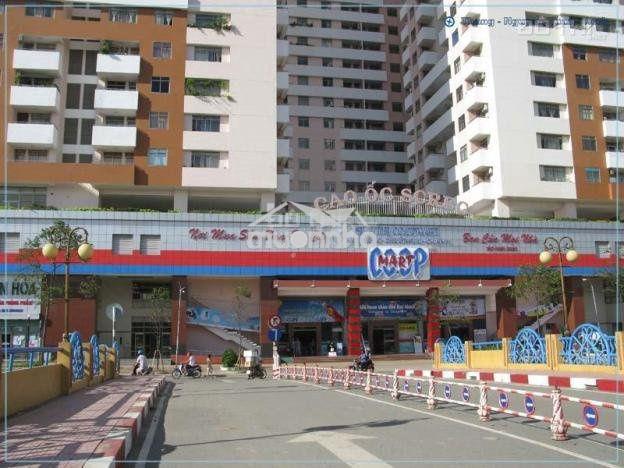 Cho thuê căn hộ screc tower — tầng cao — 74m² — 2pn 2wc — giá :12 tr