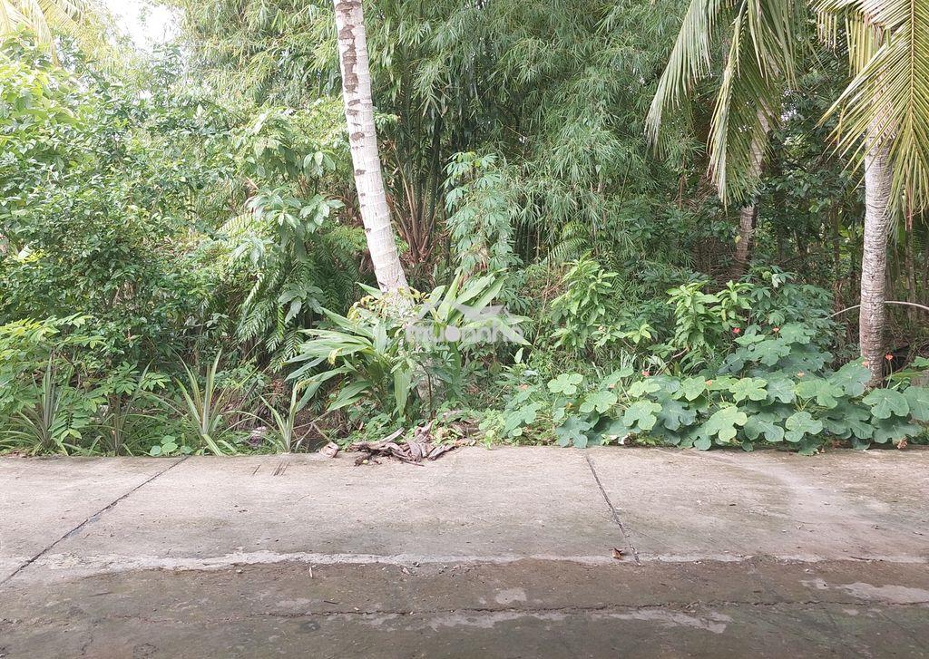 🏡 Cơ hội sở hữu nhà vườn gần trung tâm tp. sa đéc – đồng tháp - 3