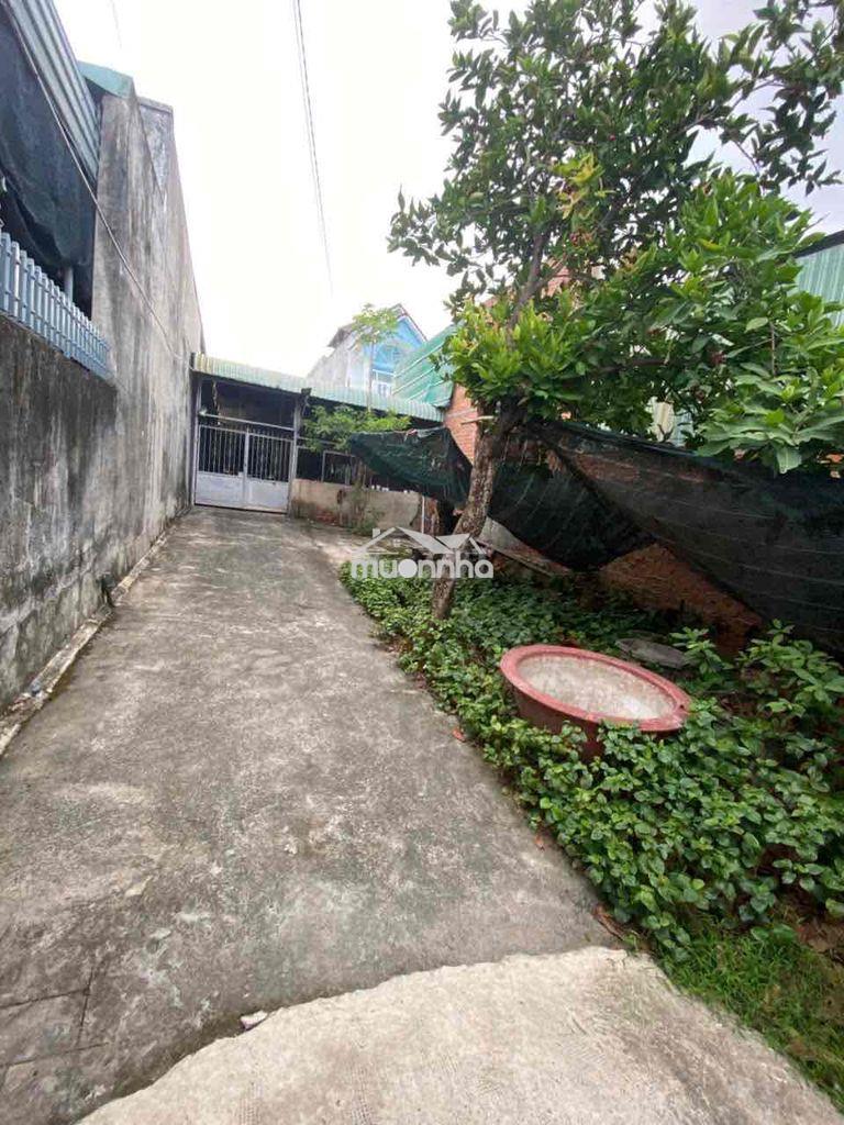 Đất mặt tiền trường học cấp 1 tân phong mới, cách chợ 26 500m - 4