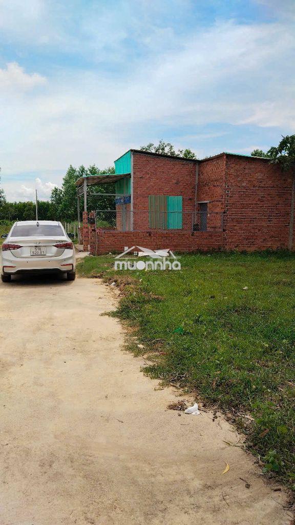 Bán đất nông nghiệp phú mỹ (có sẵn nhà)  - 2