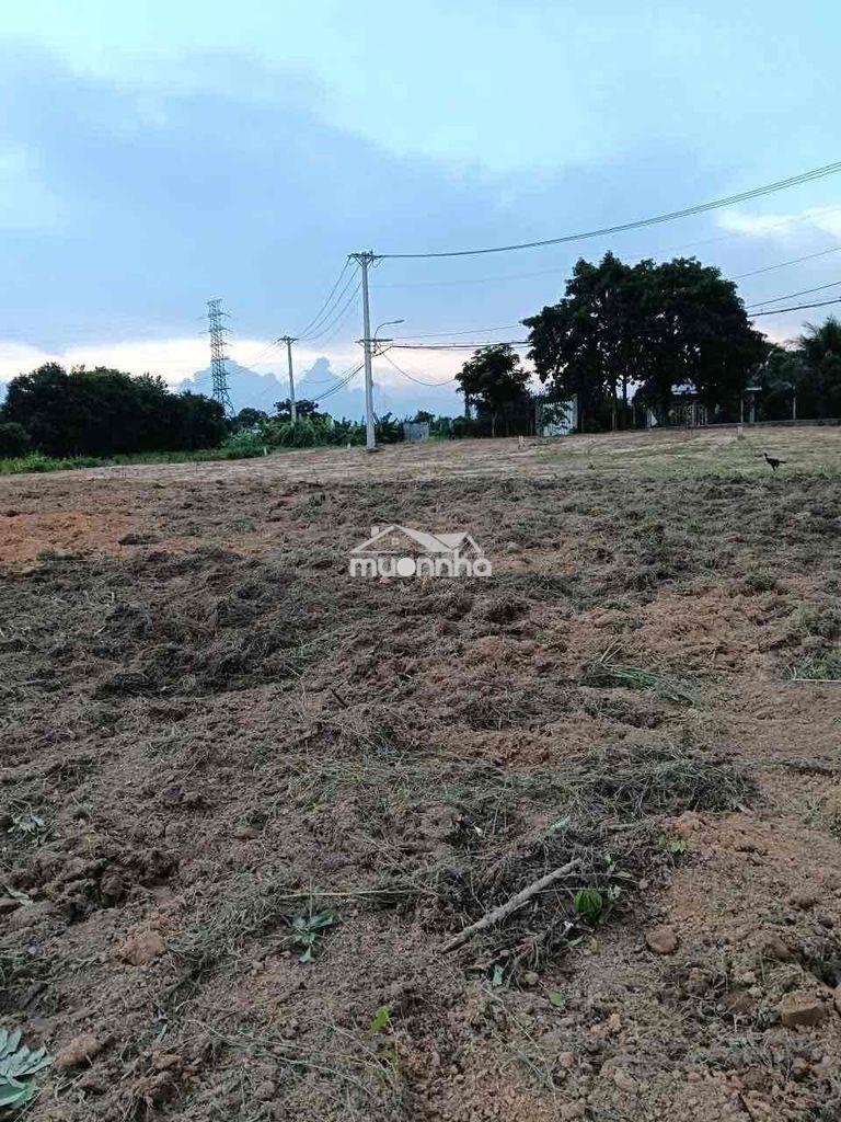 🆘🆘🆘Bán 1.000m² đất vườn cây trôm – nhỉnh 2 tỷ ( chỉ hơn 2tr/m²)🆘🆘🆘 • v - 3